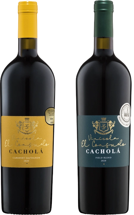 Wines Cacholá